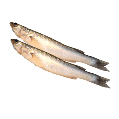 খরশুলা মাছ (Khorshula Fish) - 500gm