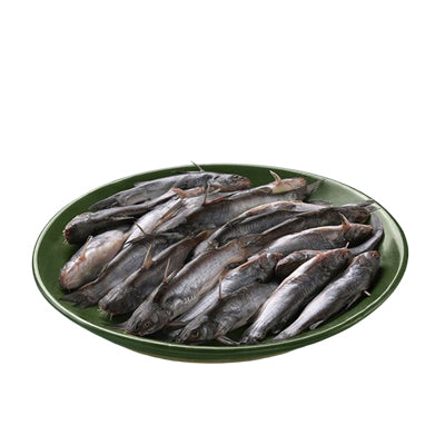Tangra Fish সাতক্ষীরার ঘেরের টেংরা (Unprocessed) NW-500gm (Small Size)